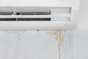 AC Leakage